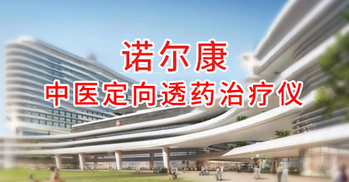 中医定向透药治疗仪价格